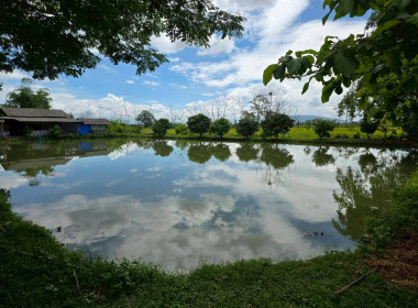 รัฐมนตรีช่วยว่าการกระทรวงเกษตรและสหกรณ์ ลงพื้นที่แม่สาย ... พารามิเตอร์รูปภาพ 61